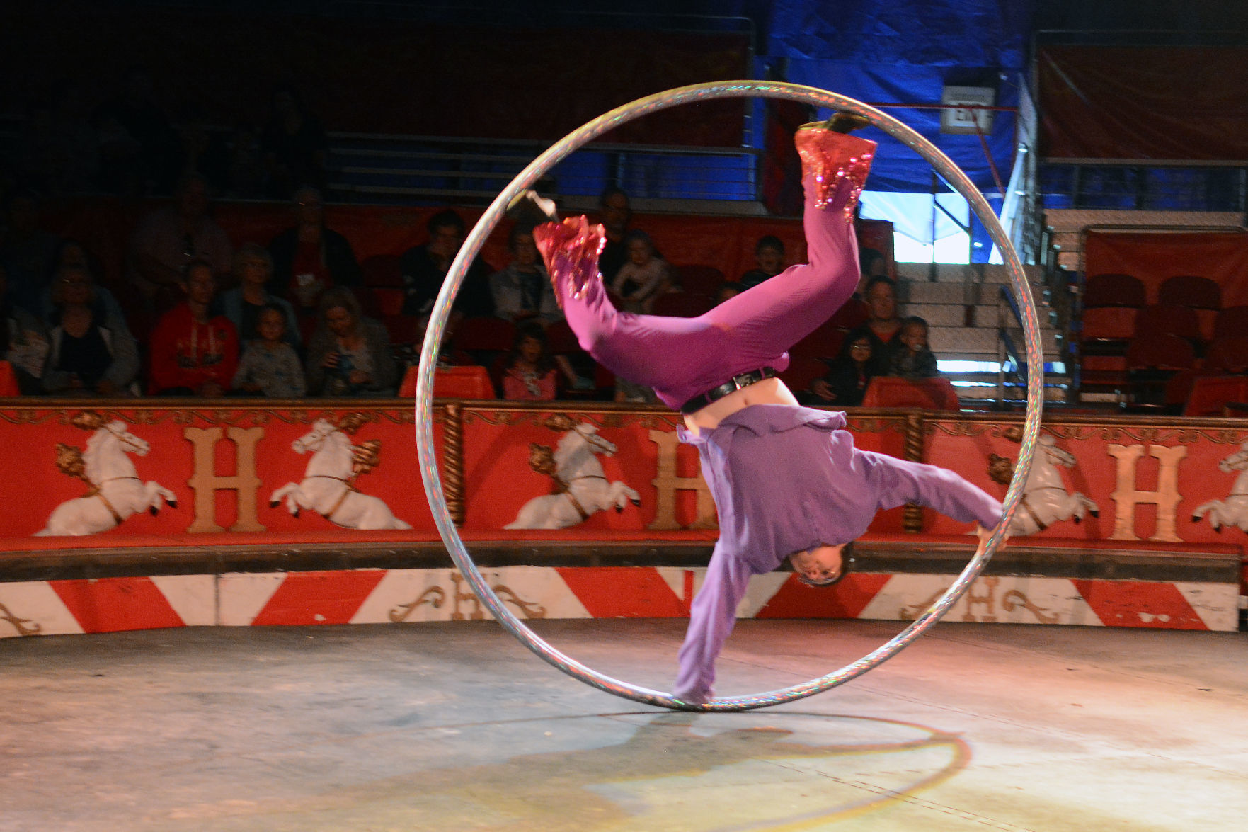 072419-bara-news-circus-world-07